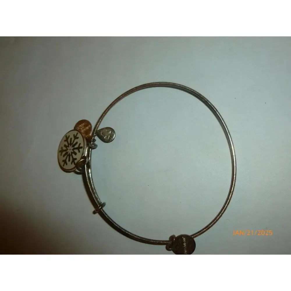 Alex And Ani 2015‎ Snowflake Charm Bracelet Silver Tone Bangle